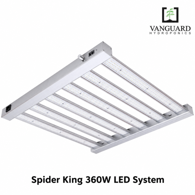 Spider King 360W Led System